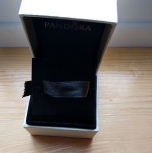 Pandora Charm Box